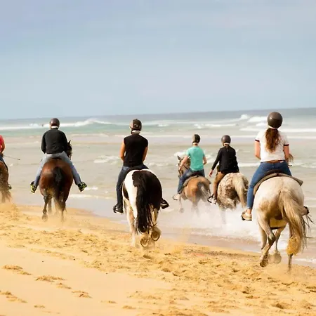 לינה וארוחת בוקר La Belgerie