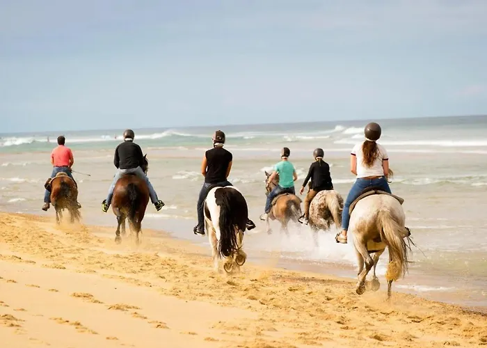 Couette-café La Belgerie