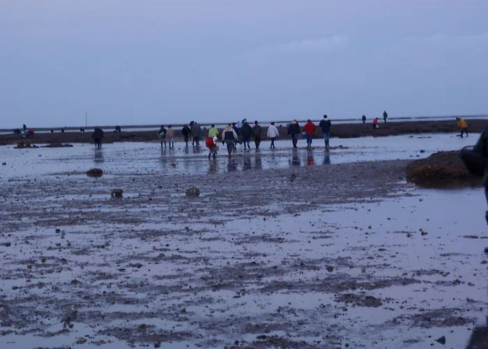 La Belgerie La Bernerie-en-Retz